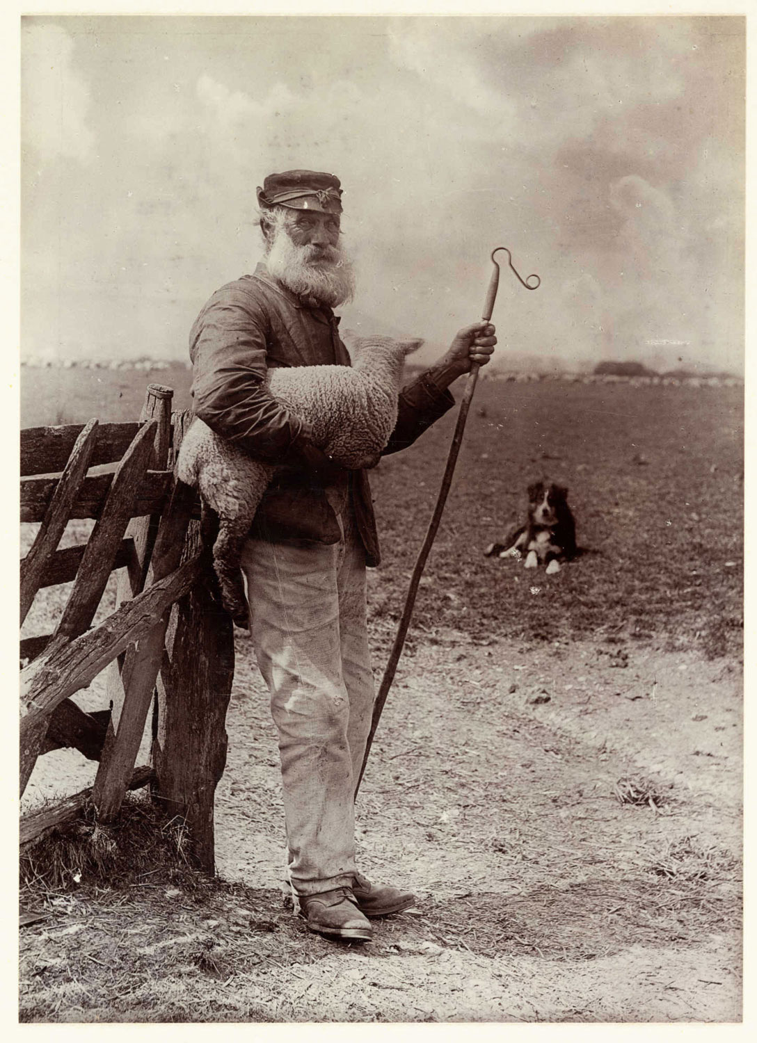 Historische Fotografie eines Schäfers mit Lamm, Hütehund und markantem Hirtenstab